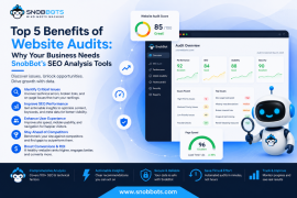 Websie audits